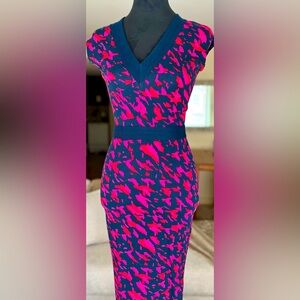 Stylish Pink and Blue Women's Dress